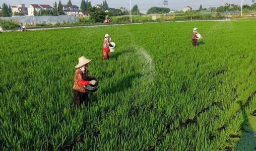 中國重點復(fù)合肥企業(yè)競爭力分析與評價報告
