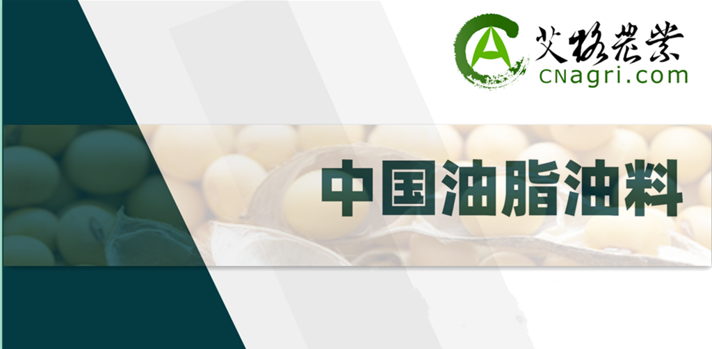 Review of Soybean Markets in 2024 and Forecast for 2025