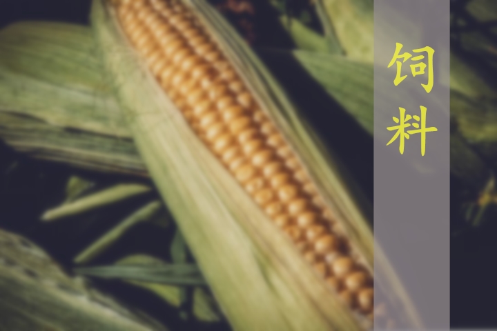 2024-2025年度中國飼料行業(yè)分析及預(yù)測