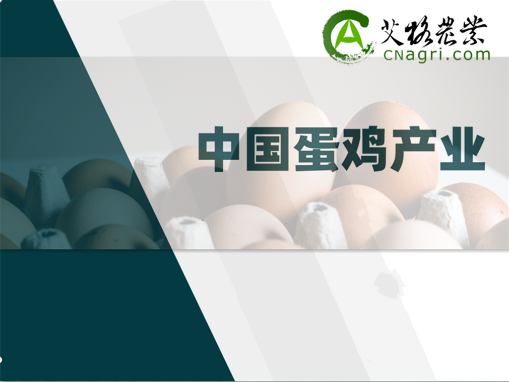 中國蛋雞產(chǎn)業(yè)研究及投資分析報(bào)告（2024/2025年度）