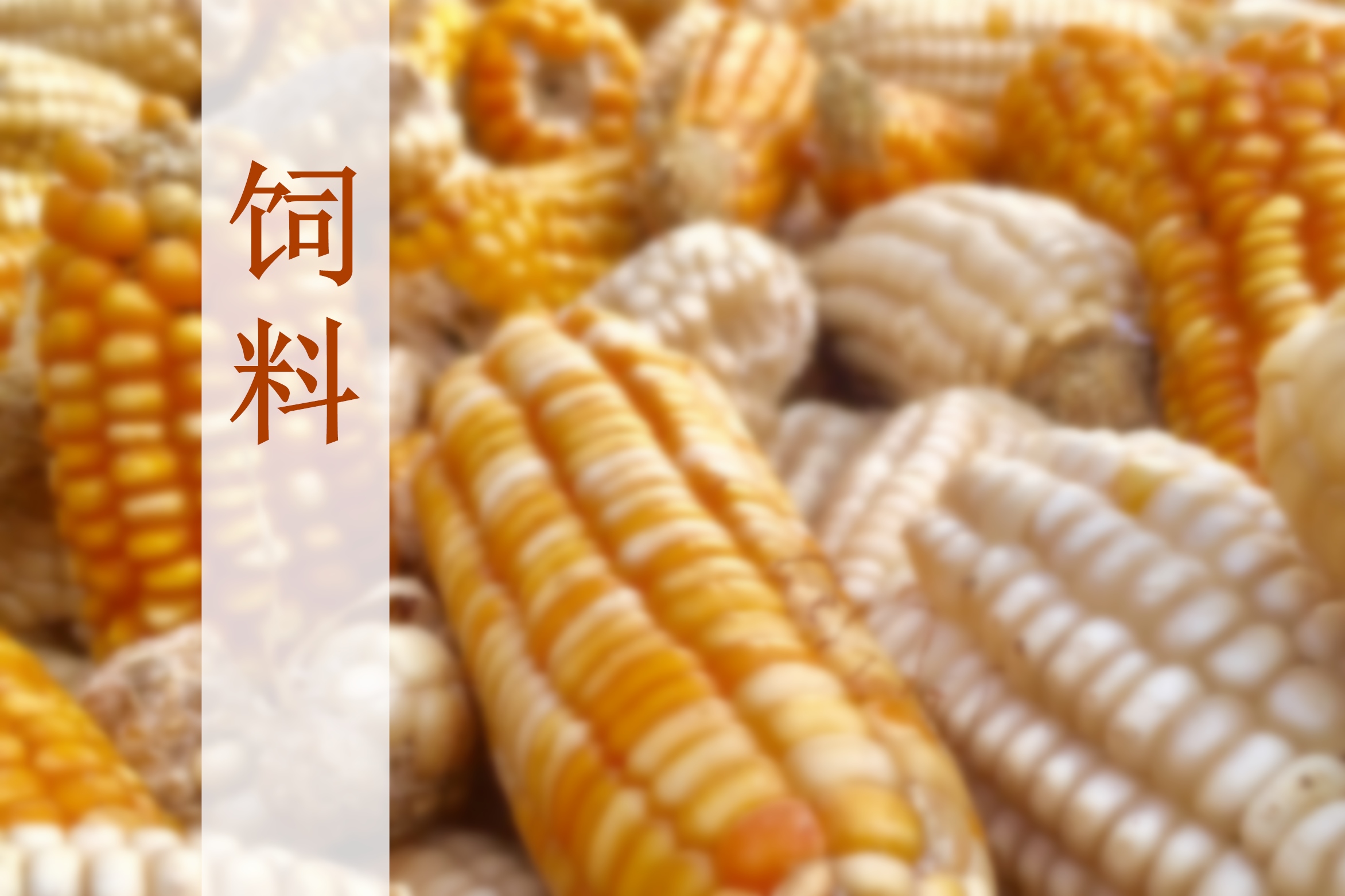 重磅發(fā)布|2024-2025年度中國飼料行業(yè)發(fā)展與投資分析報告