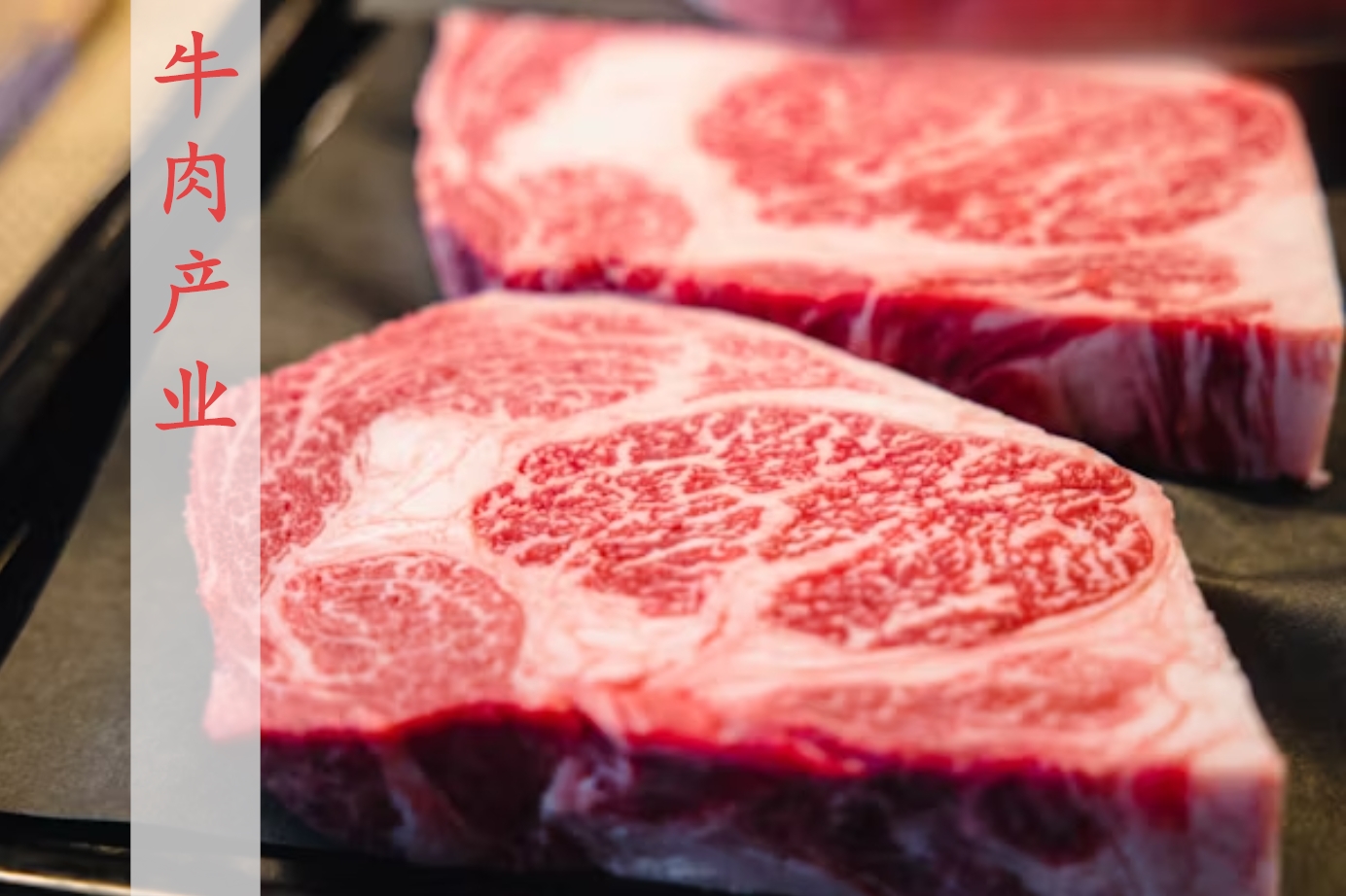 肉牛行業(yè)半年激變！2025年肉牛市場回顧和展望
